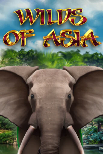 Wilds of Asia играть онлайн | Максбет Казино бесплатно
