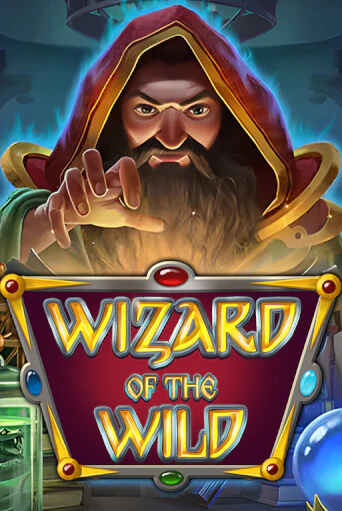 Wizard of the Wild играть онлайн | Максбет Казино бесплатно